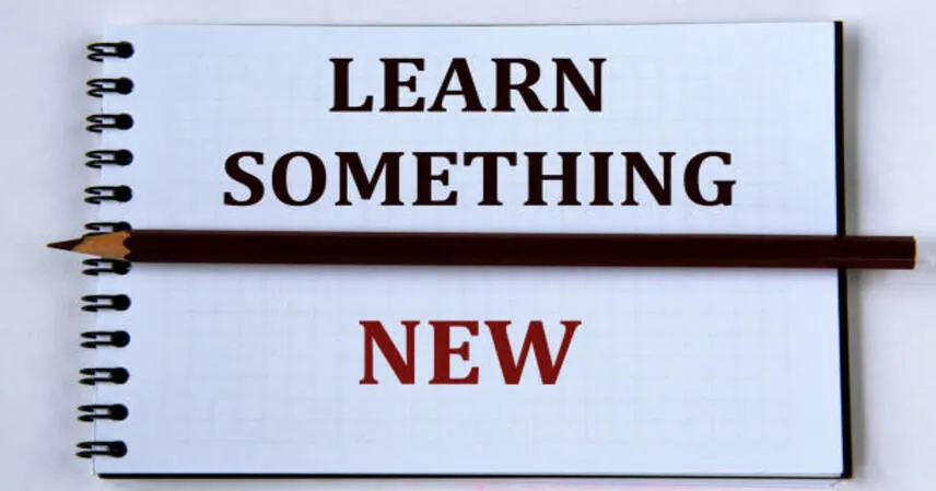 Study Abroad Tips How to Adapt to a New Learning System